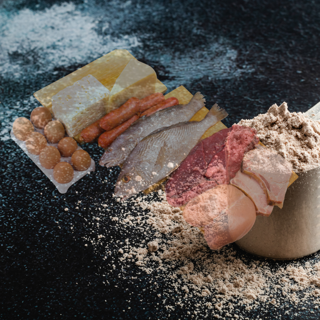 Protein content in common foods with NaturaVivo Pure Power Protein