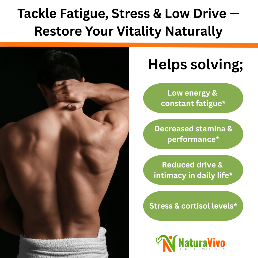 NaturaVivo Premium Testosterone Support graphic showing benefits for fatigue, stamina, libido, and stress — natural solution for men’s energy and performance.